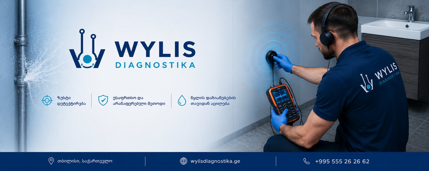 Wylis Diagnostika — წყლის ჟონვის პროფესიონალური დიაგნოსტიკა თბილისში